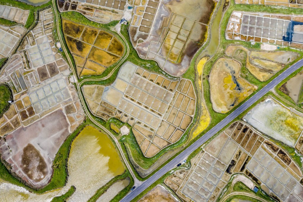 France / Bretagne / Pays de la Loire /Marais / Salant /