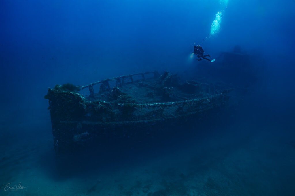 Épave de l’Alcyon – plaine orientale