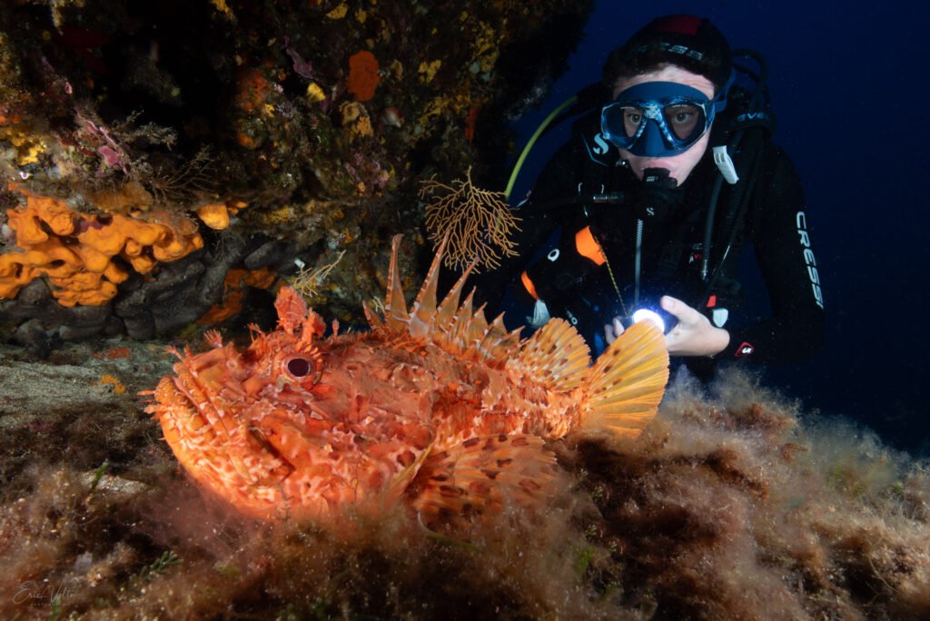 Rencontre avec un chapon