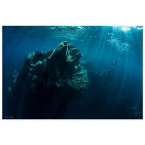 1d6d9557-e9de-4f7f-99e4-49b02a4f7ef0