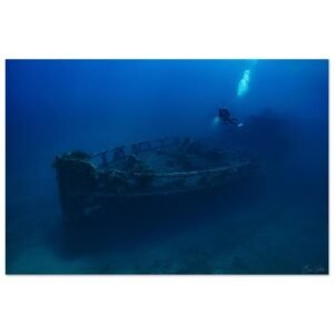 23961363-4525-4d3e-9e6c-0c5417674d1e