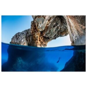 71cc9b8d-0295-4960-af7e-4a38de41041a