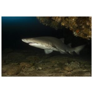 75b9c4f2-d19a-4ec2-9d8c-55781405ffaa