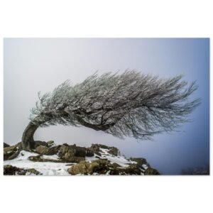 8ce2001a-cddc-44c7-8ed1-f7f86aca958f