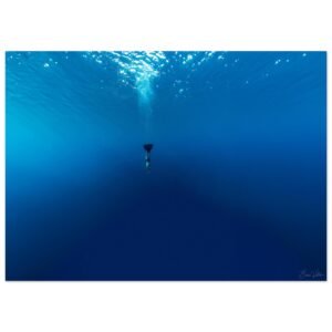 8cf3867c-f8ae-49b1-9ba2-186b6561f5df