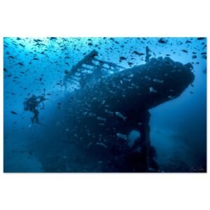 9d54f4b2-dbaf-4f07-8b35-5a1084bc5341