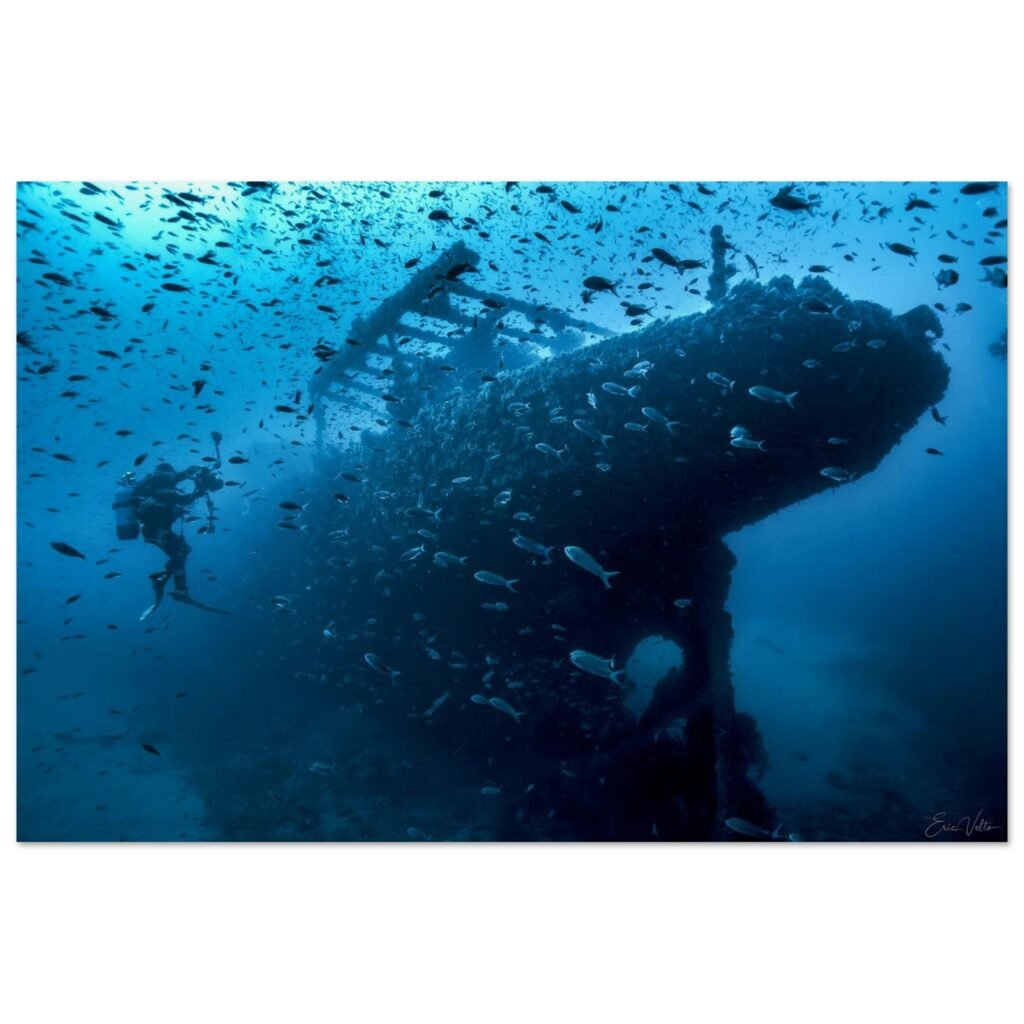 a62399ed-72fd-40bd-968c-8b6418d8ae8c